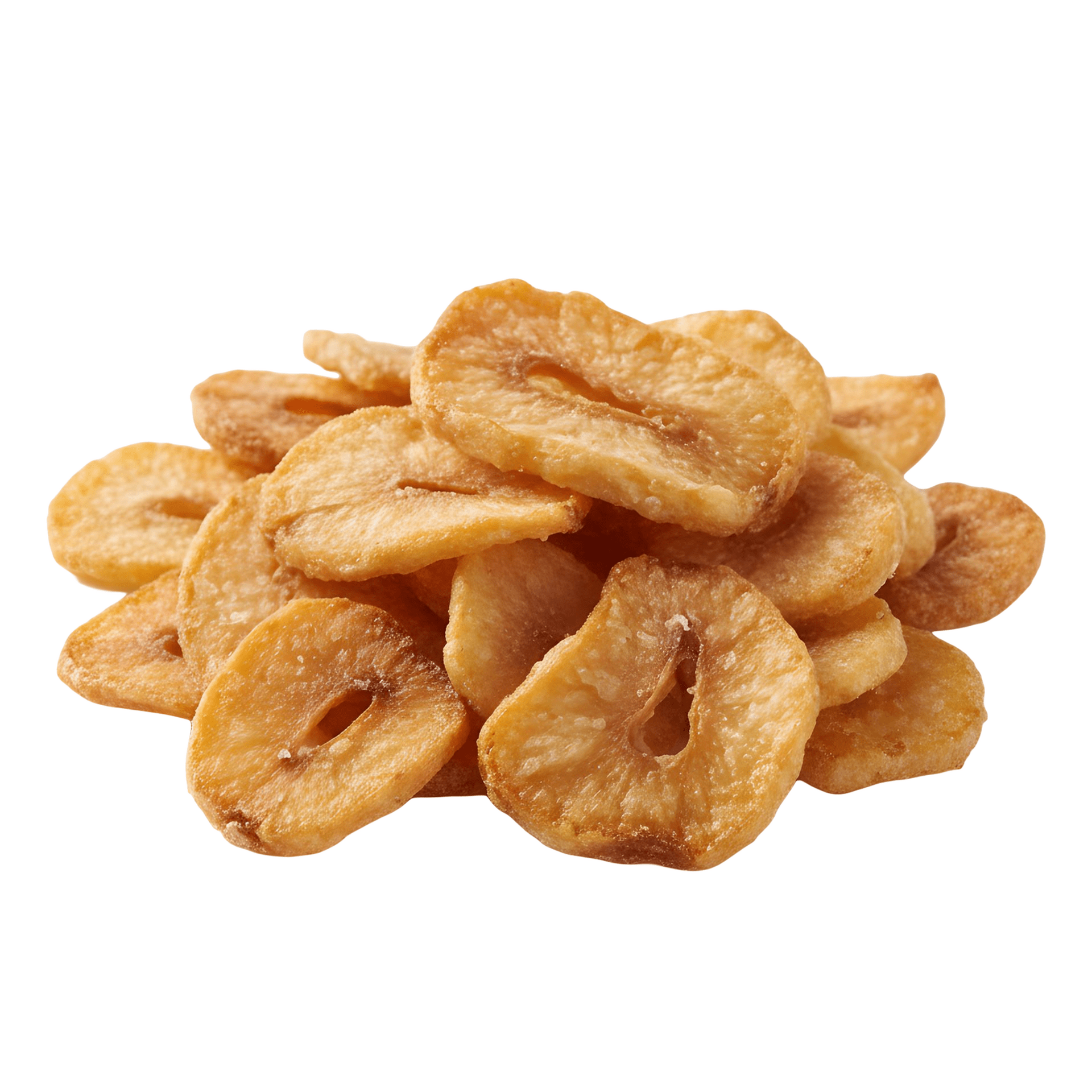 PIZZ-BURGチラシのコピーのコピー-8